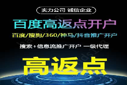 SEM优化策略：案例解读成功之道